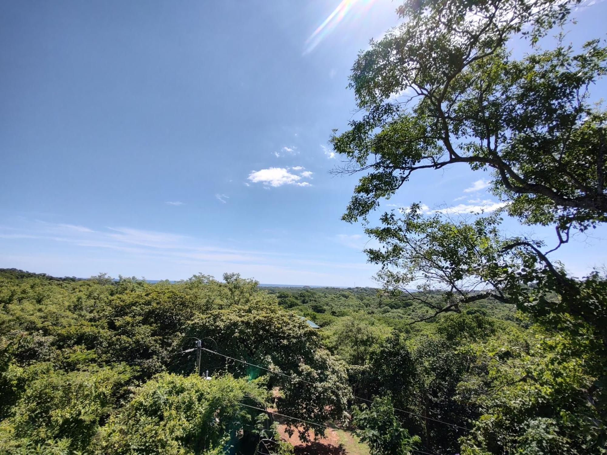 Hotel Cocolhu Tamarindo Exteriér fotografie